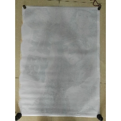 一比一仿北马其顿ID